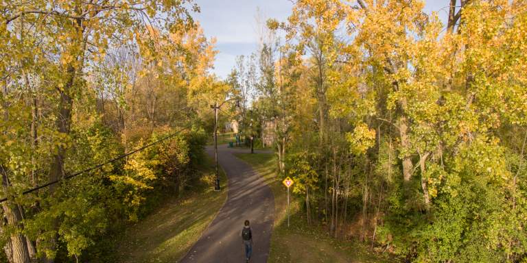 North Buffalo Rails to Trails