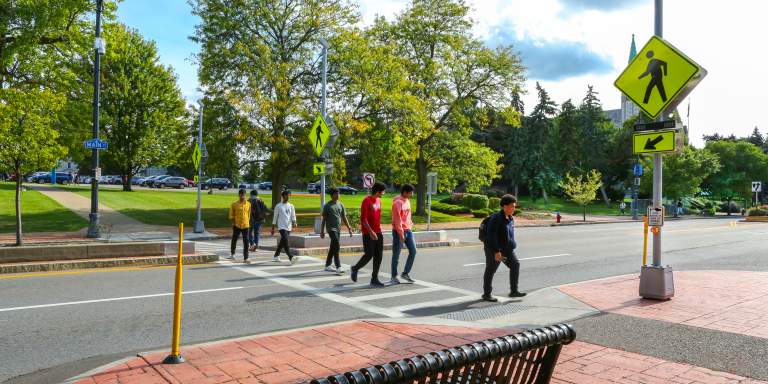 Buffalo Pedestrian Safety Action Plan